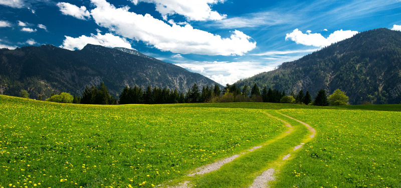 巴伐利亚阿尔卑斯山脉花草地摄影图片