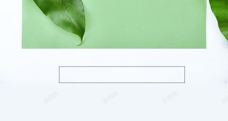 白底绿叶清醒海报背景psd设计背景_88icon https://88icon.com 化妆品 叶子 宣传 家居 广告 开心 海报 清新 白底 绿色 背景
