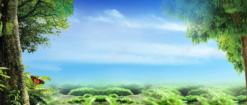 夏日森林出游蓝天天空背景背景