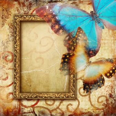 蝴蝶与相框背景