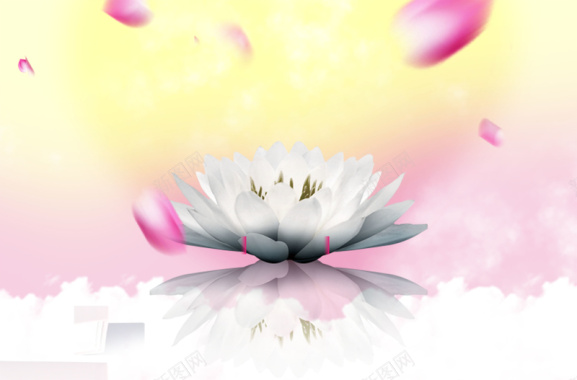 中国风美丽花瓣下的白莲花背景背景