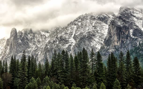 青山大树雪景宽屏jpg设计背景_88icon https://88icon.com 大树 雪景 青山