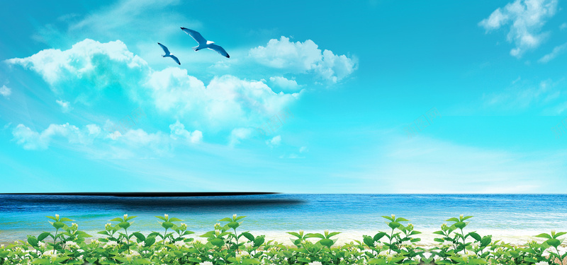 海面背景psd_88icon https://88icon.com 摄影 海 海报banner 花 风景 飞鸟