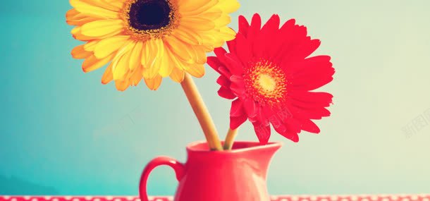 杯子里的鲜花jpg设计背景_88icon https://88icon.com 杯子 植物 背景 花朵 鲜花