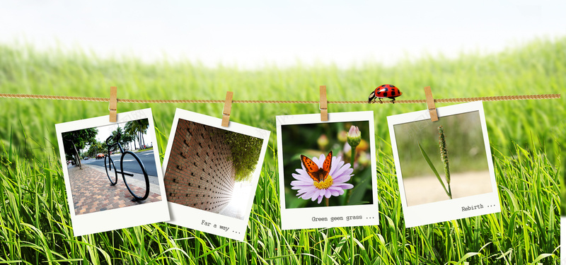 春季简约绿色海报背景背景