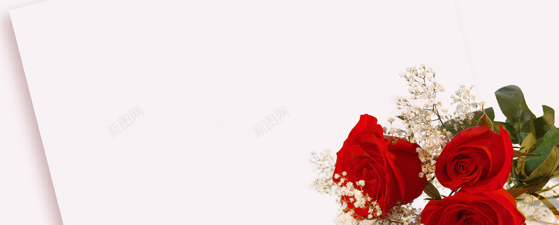 红色玫瑰信纸背景图摄影图片