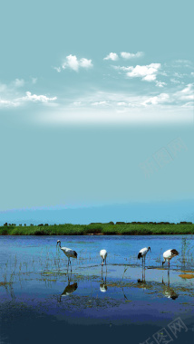 湿地保护日宣传海报背景背景