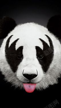 熊猫狼爪背景背景