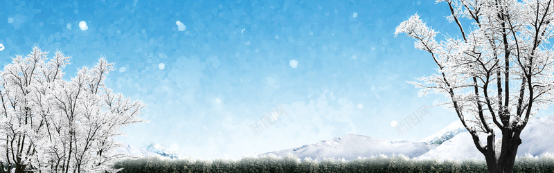 冬天雪景雪松背景摄影图片