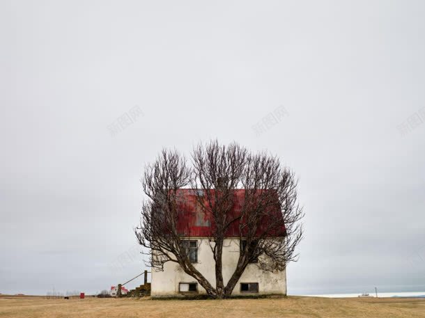 户外建筑树木清新jpg设计背景_88icon https://88icon.com 建筑 户外 树木 清新