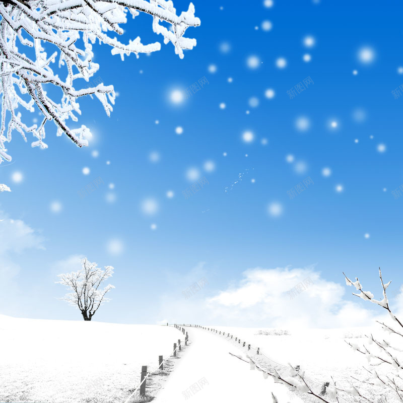 冬季雪景psd_88icon https://88icon.com 主图 冬季 冰雪树枝 摄影 雪景 风景