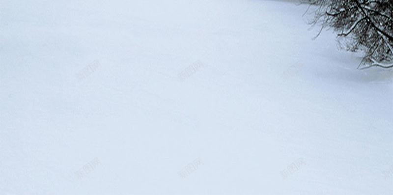 冬季雪景H5背景jpg设计背景_88icon https://88icon.com H5背景素材 中国风 冬季景色 展架 白雪 简约 雾凇 风景