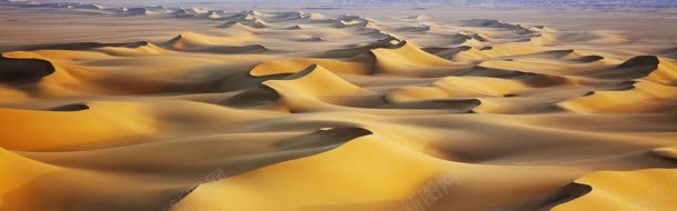 黄色自然沙丘美景背景