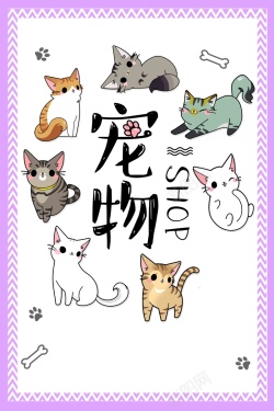 猫舍时尚手绘萌宠店促销宠物用品创意海报高清图片