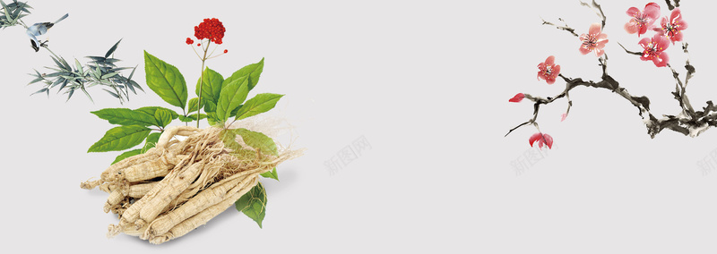 高级人参促销简约梅花背景psd设计背景_88icon https://88icon.com 中药 人参 人参海报 人参花 人参鸡汤 保健品 养生 燕窝 西洋参 野外参 野外参广告 长白山人参