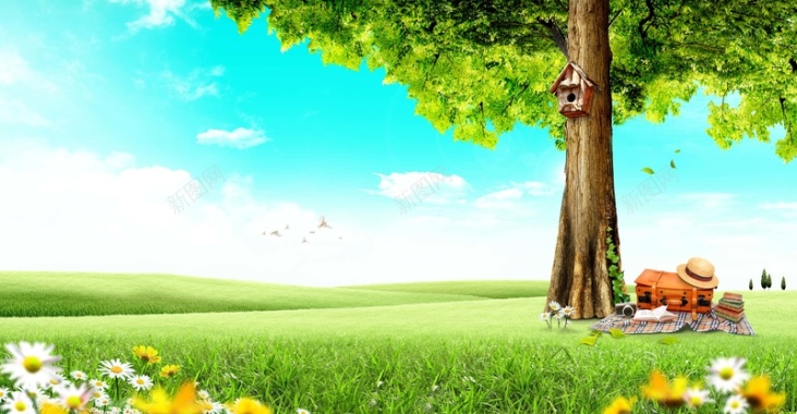 植树节大树公益环保海报背景背景
