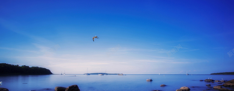 简约大气蓝色湖面飞鸟海报背景psd设计背景_88icon https://88icon.com banner 唯美 大气 摄影 海报banner 海报背景 海面 淘宝海报 简约 背景 背景素材 通用 风景