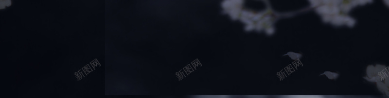 黑色樱花灯笼背景psd_88icon https://88icon.com 写实 摄影 月光 模糊 樱花 灯笼 风景 黑夜 黑色