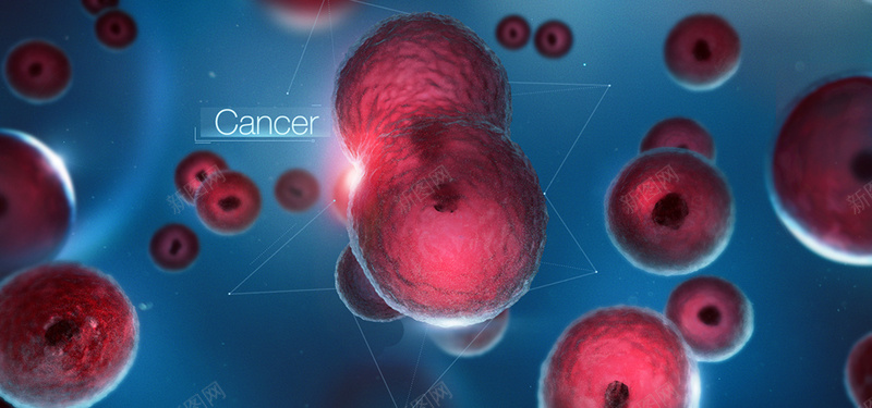 细胞背景图jpg设计背景_88icon https://88icon.com 商务 微生物 海报banner 科幻 科技 细胞