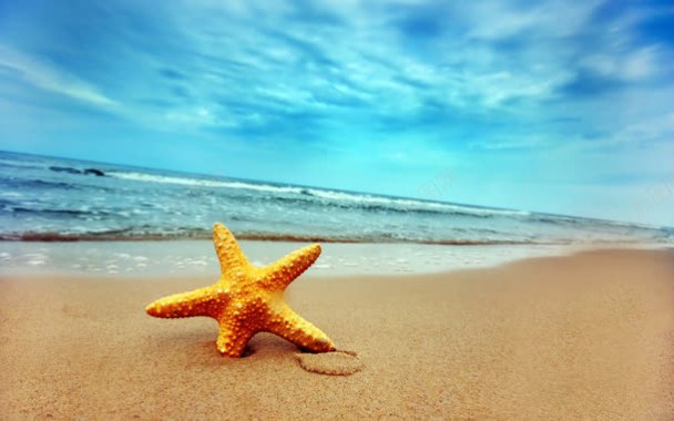 海滩上的五角星唯美背景