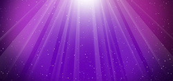 无数条唯美紫色背景高清图片