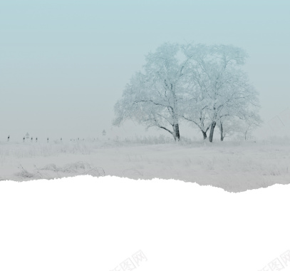 灰色唯美雪景背景摄影图片