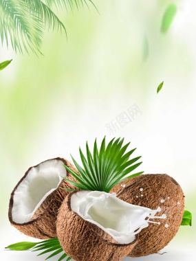 夏天椰子背景背景