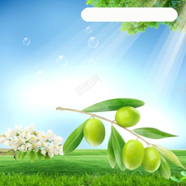 风景蓝天绿叶婴儿洗衣液PSD分层主图背景摄影图片