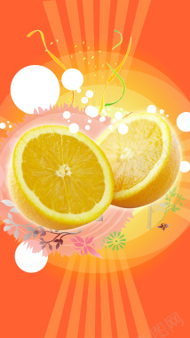 橙色水果插画海报背景