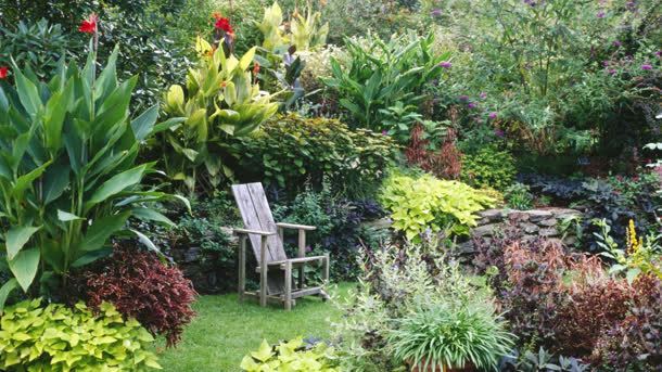 花园植物绿色椅子背景