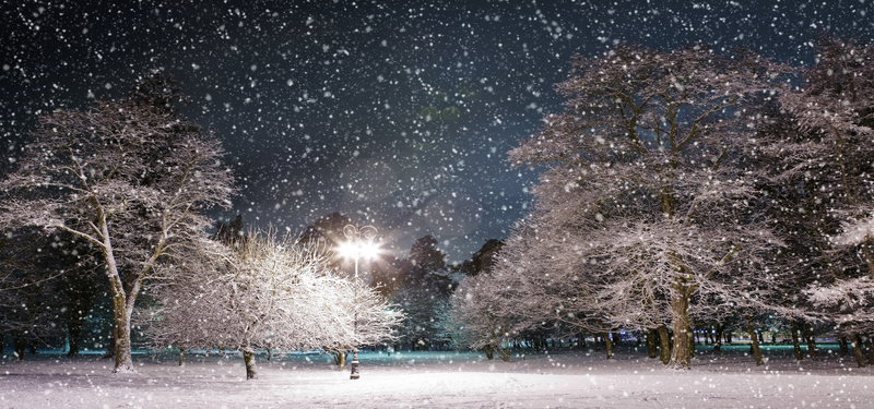 夜晚公园雪景摄影图片