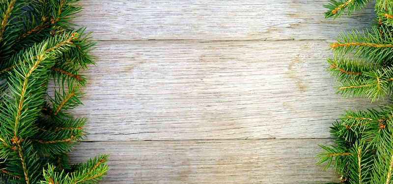 枫叶木板松针松树木板背景