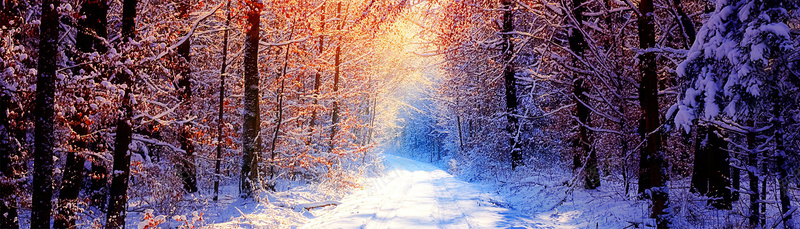 冬季唯美雪景摄影图片