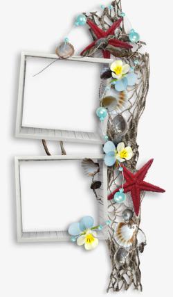 渔网的的海星图片海洋装饰木框高清图片