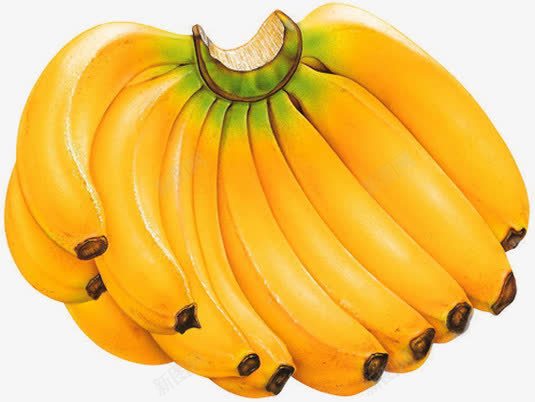 夏日黄色水果香蕉png免抠素材_88icon https://88icon.com 夏日 水果 香蕉 黄色