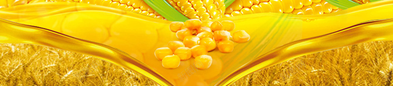 黄色玉米背景psd设计背景_88icon https://88icon.com PPT PSD 免费 广告 海报 玉米 粮食 素材 背景