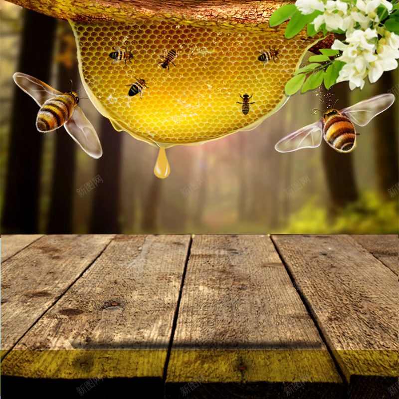 木板展台蜂蜜促销背景图psd设计背景_88icon https://88icon.com 促销 展台 木板 蜂窝 蜂蜜 蜜蜂 蜜蜂窝