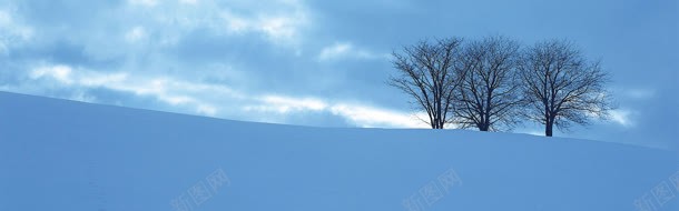 阴天雪景背景