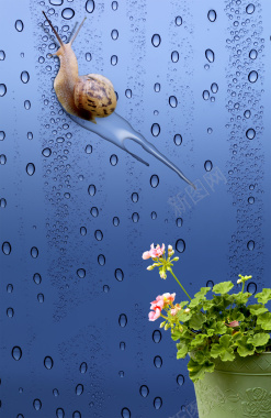 雨滴背景背景