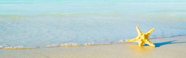 清爽的海滩jpg设计背景_88icon https://88icon.com 海滩 清爽