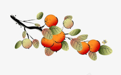 手绘彩绘果园水果橙子图案素材