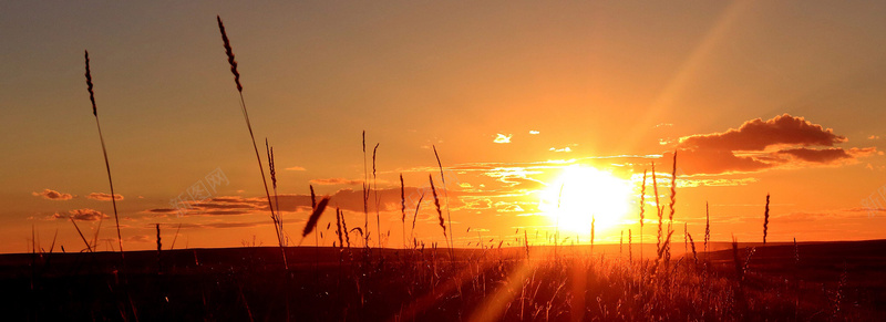 日落黄昏jpg设计背景_88icon https://88icon.com 傍晚的天空 勃兰登堡 在黄昏 天空 心情 日落 气氛 海报banner 激情 狂欢 背景照明