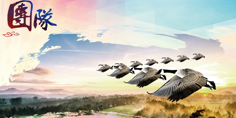 中国风团队鸟海报背景背景