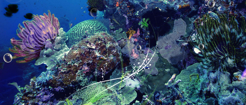 海底世界小美人鱼海报背景jpg设计背景_88icon https://88icon.com 儿童摄影 动漫 动漫动画 动画 卡通 小美人鱼 海底世界 海底世界小美人鱼图片图片下载 童话 设计