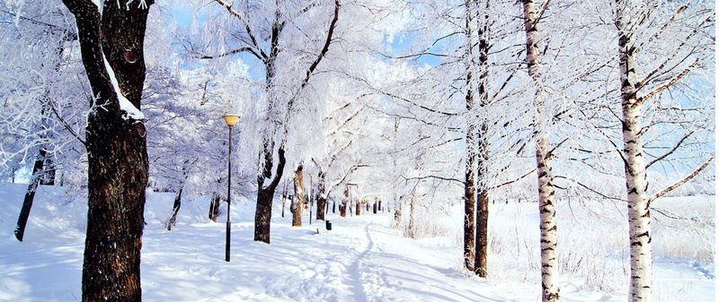 雪景背景摄影图片