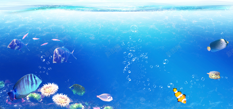 唯美海底世界背景背景