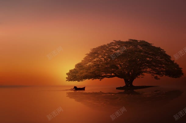 唯美浪漫红色大树jpg设计背景_88icon https://88icon.com 大树 浪漫 红色