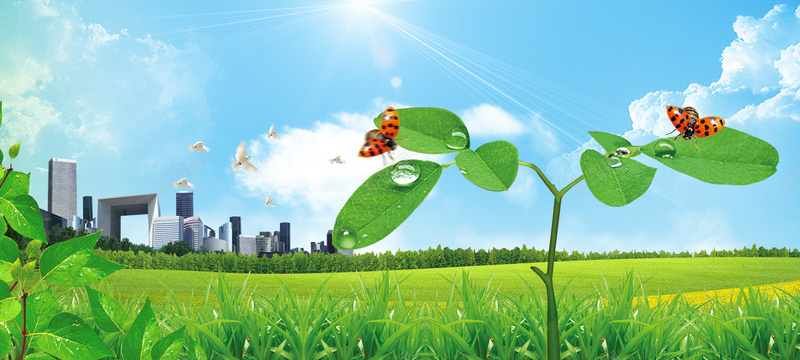 绿色环保和谐低碳城市商务海报banner背景