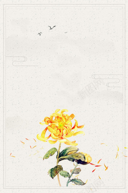 文艺手绘菊花重阳节背景