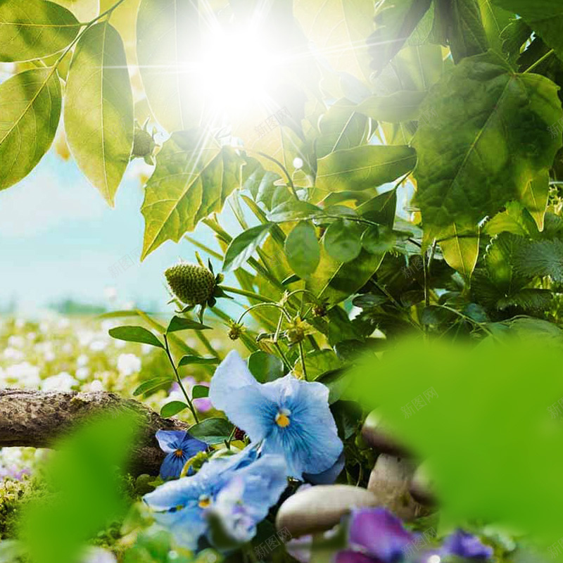 森林自然化妆品PSD分层主图背景psd设计背景_88icon https://88icon.com 主图 化妆品 叶子 护肤品 森林背景 淘宝 直通车 绿叶 美容 美白 自然环保 花朵 面膜